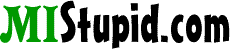 MIStupid.com Logo