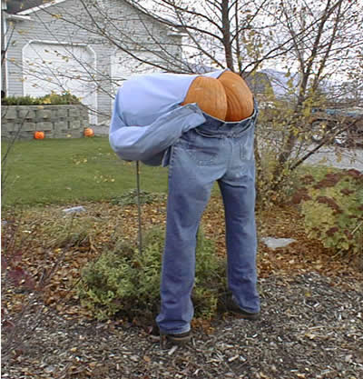 pumpkinmoon.jpg