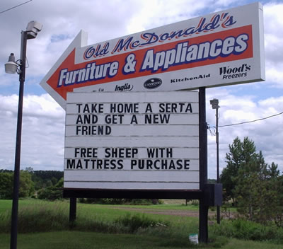 Sheep Over